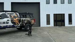 Bellum K9 Facility update 3
