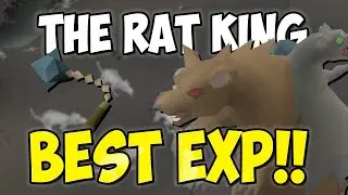BEST COMBAT EXP: The Rat King Guide (150K XP/hr)