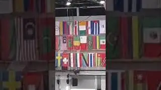 Many Flags