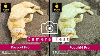 Poco X4 Pro vs Poco M4 Pro | Camera Comparison | Camera Test | |