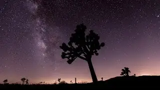 60 Seconds Timelapse of the Perseid Meteor Shower in Joshua Tree Park