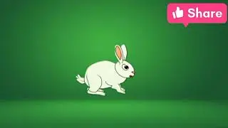 The green Art green screen Rabbit.
