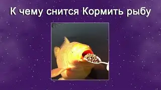 К чему снится Кормить рыбу – толкование сна по Соннику