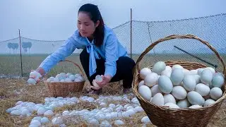 How to make Salted Duck Egg - Salted Egg Recipe - Natural Life Cooking