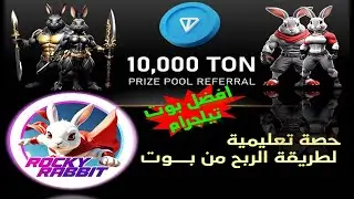 طريقة الربح من بوت تيلجرام, Rocky Rabbit,اربح مجانا عملة Ton+عملة Rocky