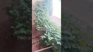 قرآن مجید کا دل کیا ہے #viral #qurantranslation #languagetranslation #islamicvideo