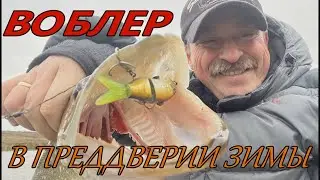 ВОБЛЕР - В ПРЕДДВЕРИИ ЗИМЫ!