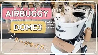 【AIR BUGGY】愛犬チワワ2匹のために、人気のエアバギーDOME3を購入しました‼︎