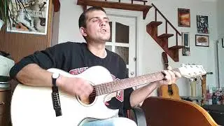 КИНО Дальше действовать будем мы cover Washburn ea40
