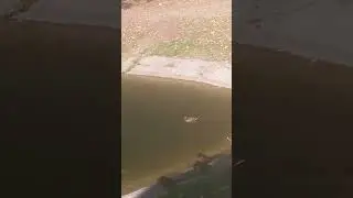 Канал в парке Гагарина. Самара