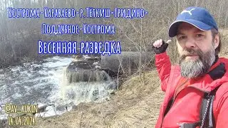 Кострома-Караваево-Тёткиш-Гридино-Поддубное-Кострома. Весенняя разведка 14.04.24
