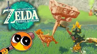 Zelda Tears Of The Kingdom | Highlights!