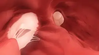 360° VR animation | inside a beating heart