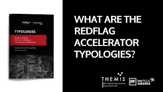 What are the RedFlag Accelerator Typologies?