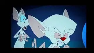 Пинки и Брейн-RYTP. Ты станешь моей первой Леди?