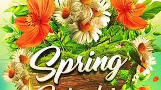 Spring Splendor by DEVIZE (Drum Kit)