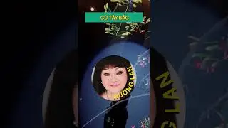 Ca Sĩ Mặt Nạ Tập 7 | Hãy đoán cho vui nhé! #CaSĩMặtNạ #themaskedsinger  @VieChannelOfficial ​