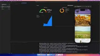 Test: Image Loading in ViewModel using Nuke Library SwiftUI (incremental. memory)