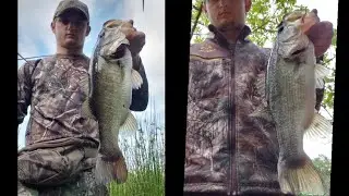 Huge bass compilation