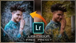 Lightroom Blue Tone Effect Preset Free Download NowXmp File