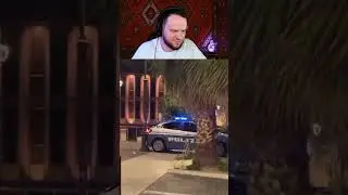 woodskiyded топ неожиданных концовок