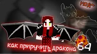 мод~как приручить дракона/майнкрафт пе//#драконы #майнкрвфт #Рафи-рафала