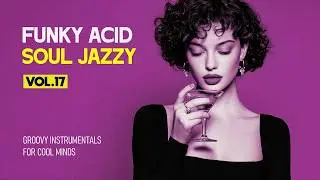 Best Acid Jazz & Funky Instrumentals Vol. 17 | Funky Grooves for Pure Relaxation