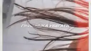 Клип Тима белорусских привычка убегать