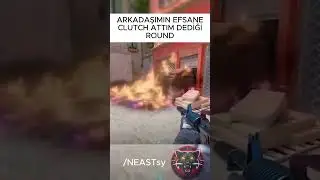 21 июня 2024 г.