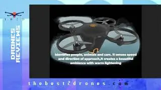sunflower x264   Drone Review