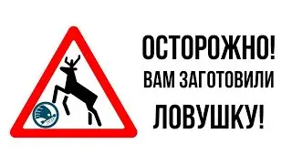 ОСТОРОЖНО ДИКИЕ ЖИВОТНЫЕ! КАК НЕ ПОПАСТЬ В ЛОВУШКУ НА ДОРОГЕ.