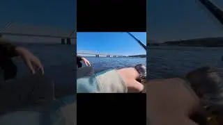 #shorts