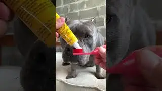 Nossa Rotina 