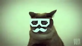 Кот в очках))