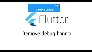 Remove DEBUG Banner | Flutter