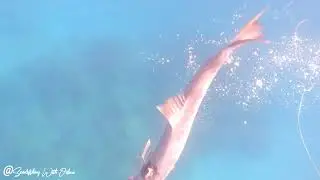 Witness The Unbelievable! We Caught Something Incredible...
