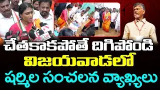 YS Sharmila Visits Flood Affected Area in Vijayawada : PDTV News