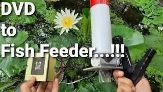 How to make Automatic Fish Feeder at home | Trash to treasure...