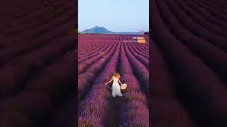 Красота жизни в свободе выбора #shorts