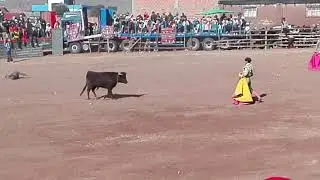 torero peruano vs  boliviano en desaguadero por las fiestas patrias