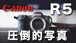 【Canon R5】写真の綺麗さやノイズの出方を徹底解説