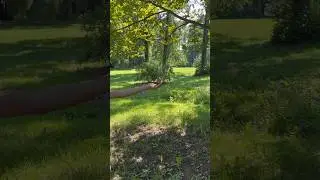 Кормим синичек на территория парка Питергов