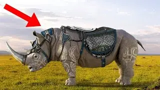 10 Animals We STILL Haven't Been Able To Domesticate!