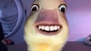 Meme absurd yang saya temukan di internet part 16