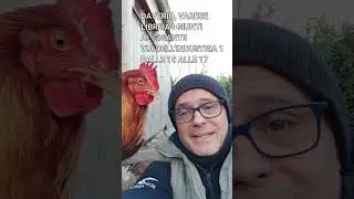 GABRIELE E LA BERTINA