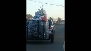 Christmas tree transport redneck style
