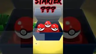 Choose Our Starter! 