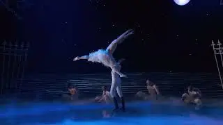 Matthew Bourne's  Swan Lake Pas de Deux