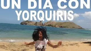 Un día con Yorquiris ♡