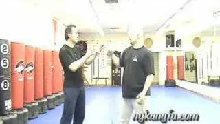 Lama Pai & Hop Gar Kung-Fu Discussions # 2